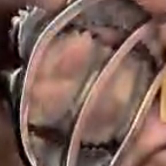 Navajo sterling silver cuff bracelet turquoise, coral, a bear claw, and feather - Picture 3 of 11